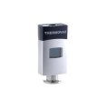 Вакуумметр мембранно-емкостной Пирани Leybold THERMOVAC TTR 101